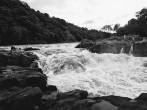 unnamed - 2025-09-21T165751.962